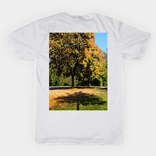 Autumn by the Dietlhofer See in Weilheim, Germany T-Shirt